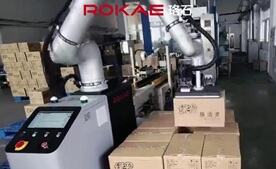 KS体育协作码垛典型应用：清洁用品纸箱码垛